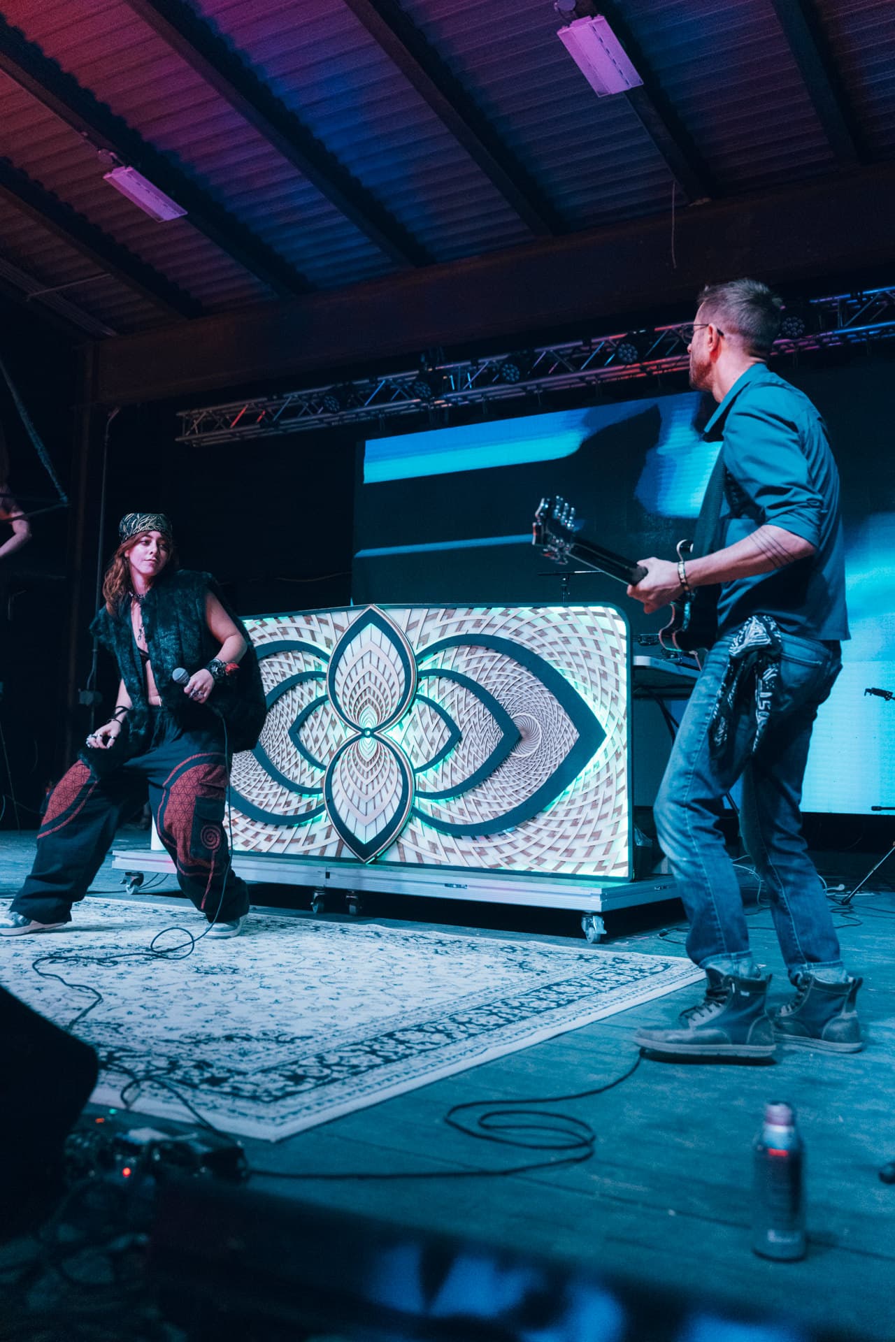 Cosmosis stage — alternate angle